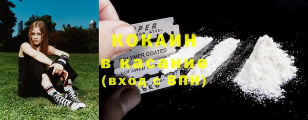 мяу мяу кристалл Корсаков