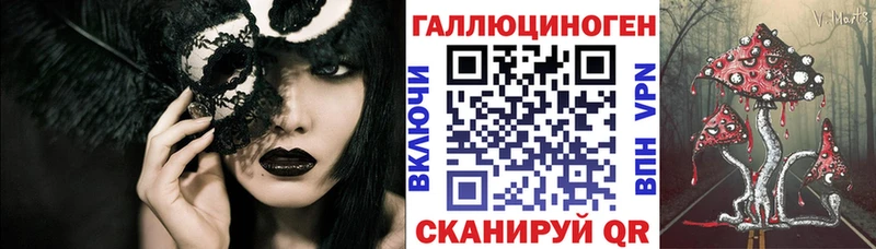 Купить где  Кыштым  Псилоцибиновые грибы Cubensis 